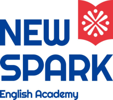 New Spark Online